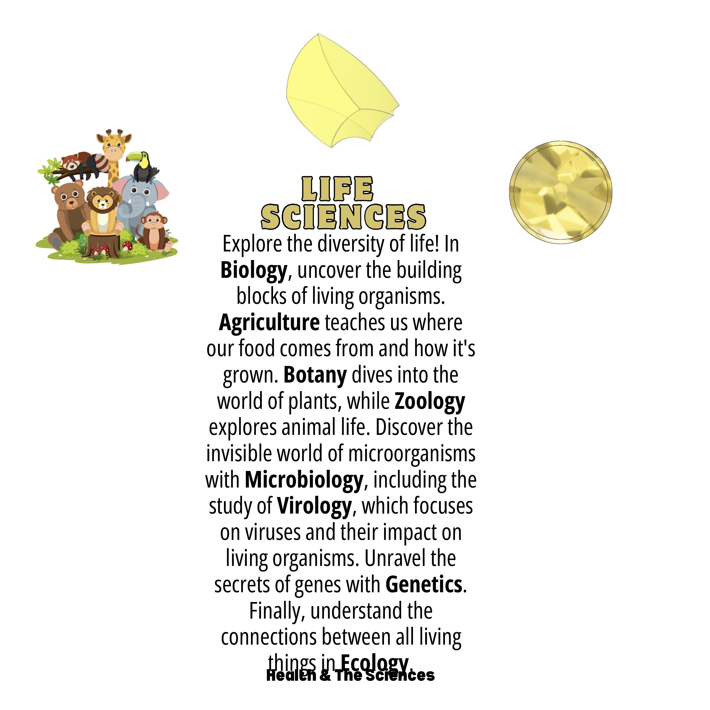 Arching Block 4 illustration