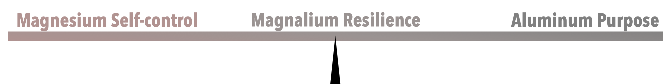 A scale showing how Magnalium Resilience is a mix of Magnesium Self-control and Aluminum Purpose